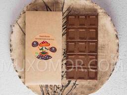 Amanita VEGAN sjokolade. 100 g - 15 fliser/Мухоморний ВЕГАН-шоколад. 100 г - 15 плиточок