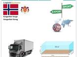 Автотранспортні вантажні перевезення з Нідерландів у Нідерланди разом з Logistic Systems - фото 6