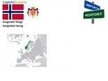 Автотранспортные грузоперевозки из Норвегии в Норвегию с Logistic Systems - фото 10