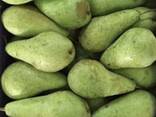 Best pears from Poland wholesale - photo 2