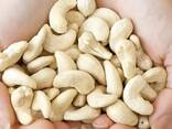 Cashew nut - фото 2