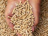 Wholesale wood pellets with TOP quality - photo 2