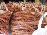 Cheap Copper Wire Scrap 99.9% Copper Scrap 99.99% Pure Cheap Price - фото 1