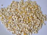 Corn germ - фото 1