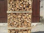 Hard Wood Firewood Birch Wood Oak and Beech Log Firewood - photo 1
