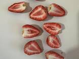 Freeze dried fruits wholesale - фото 12