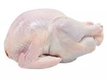 Frozen Chicken for sale Halal Frozen Whole Chicken - photo 1
