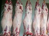 Frozen meat - фото 2