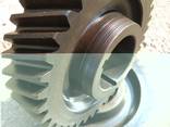 Gearwheel, gear, staft gear, toothed crown, gear box - photo 1