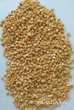 Горох желтый колотый (yellow split peas)