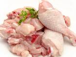 Halal ! Frozen Chicken, Thigh, Back quarter, Wings , Fillet IPBF , IQF, BF. - Ukraine - фото 1