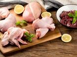 Halal ! Frozen Chicken, Thigh, Back quarter, Wings , Fillet IPBF , IQF, BF. - Ukraine - фото 3