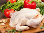 Halal ! Frozen Chicken, Thigh, Back quarter, Wings , Fillet IPBF , IQF, BF. - Ukraine - фото 2