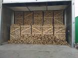 Hornbeam Firewood / Hainbuche / Agnbøk - фото 1