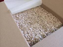 I will sell the kernel of sunflower