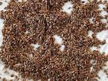 Linseed/Flaxeed - photo 1