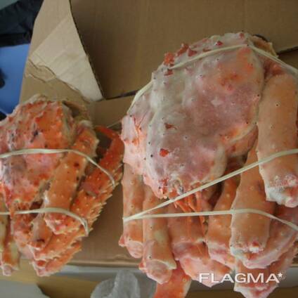 Live King Crabs For Sale / King Crab Claws King Crab Clusters/ Blue Swimming Crabs
