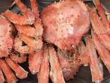 Live King Crabs For Sale / King Crab Claws King Crab Clusters/ Blue Swimming Crabs - фото 1