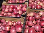 Polish apples (wide range of varieties) - фото 8