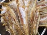 Premium Quality Dried Bombay Duck Fish / Dried Cod Fish Tosk Cod Fish - фото 2
