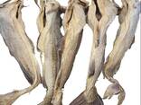 Premium Quality Dried Bombay Duck Fish / Dried Cod Fish Tosk Cod Fish - фото 3
