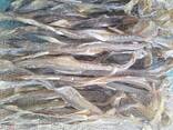 Premium Quality Dried Bombay Duck Fish / Dried Cod Fish Tosk Cod Fish - фото 5