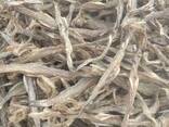 Premium Quality Dried Bombay Duck Fish / Dried Cod Fish Tosk Cod Fish - фото 8