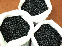 Продам чернику/I will sell blueberries