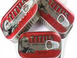 Sardine fish - фото 2