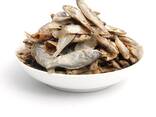 Stock Fish - фото 2