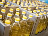 Sunflower Oil - фото 2