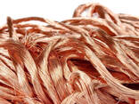 Trusted Wholesale Supplier Of Copper Wire Scrap 99.99% / Copper Metal Scraps At Cheap Pric - фото 1