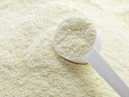 Coconut Milk Powder Halal MAGGI