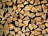 We sell firewood natural moisture and dry - photo 2