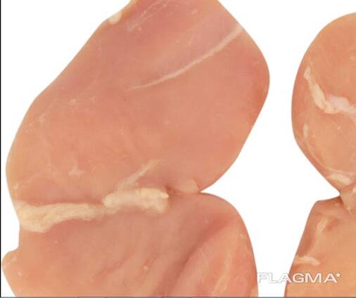 Wholesale Halal Frozen Chicken Breast / Skinless Boneless Chicken Breast Fillets