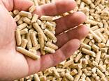 Wholesale wood pellets with TOP quality - photo 1