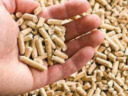 Wood pellets europe