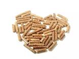 Wood pellet