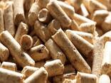 Best Price Biomass Holzpellets Fir Wood Pellets 6mm in 15kg bags - photo 1
