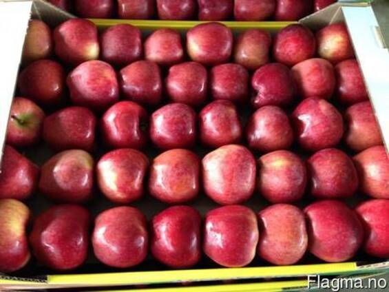 Яблоки apples